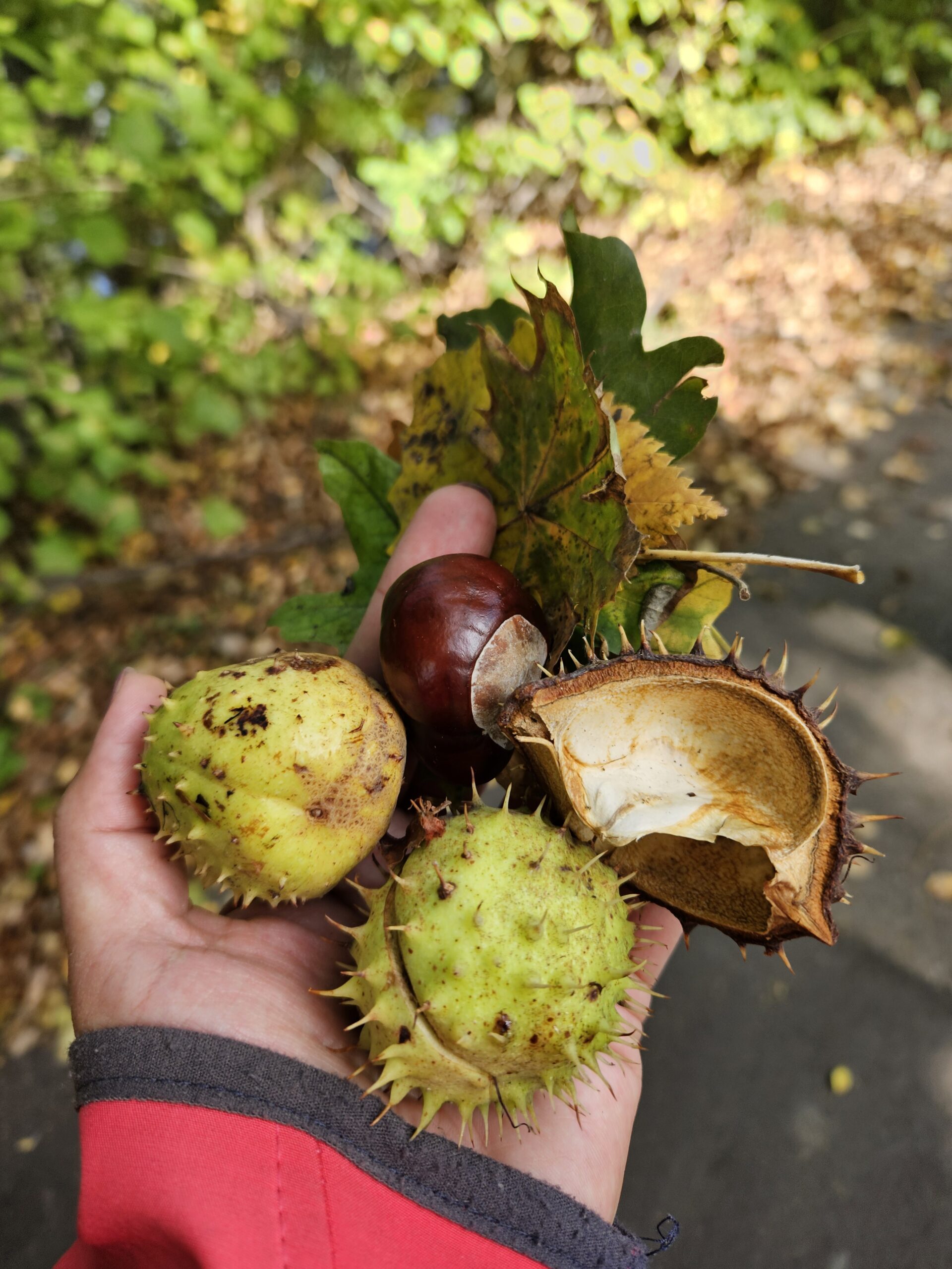 20250930_110947 (002)