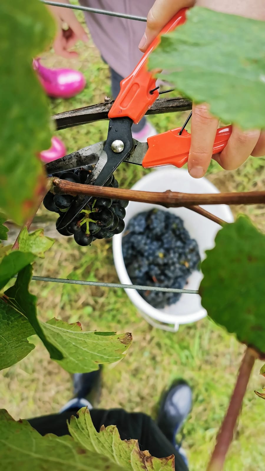 PHOTO-2025-10-01-11-58-17 (002)