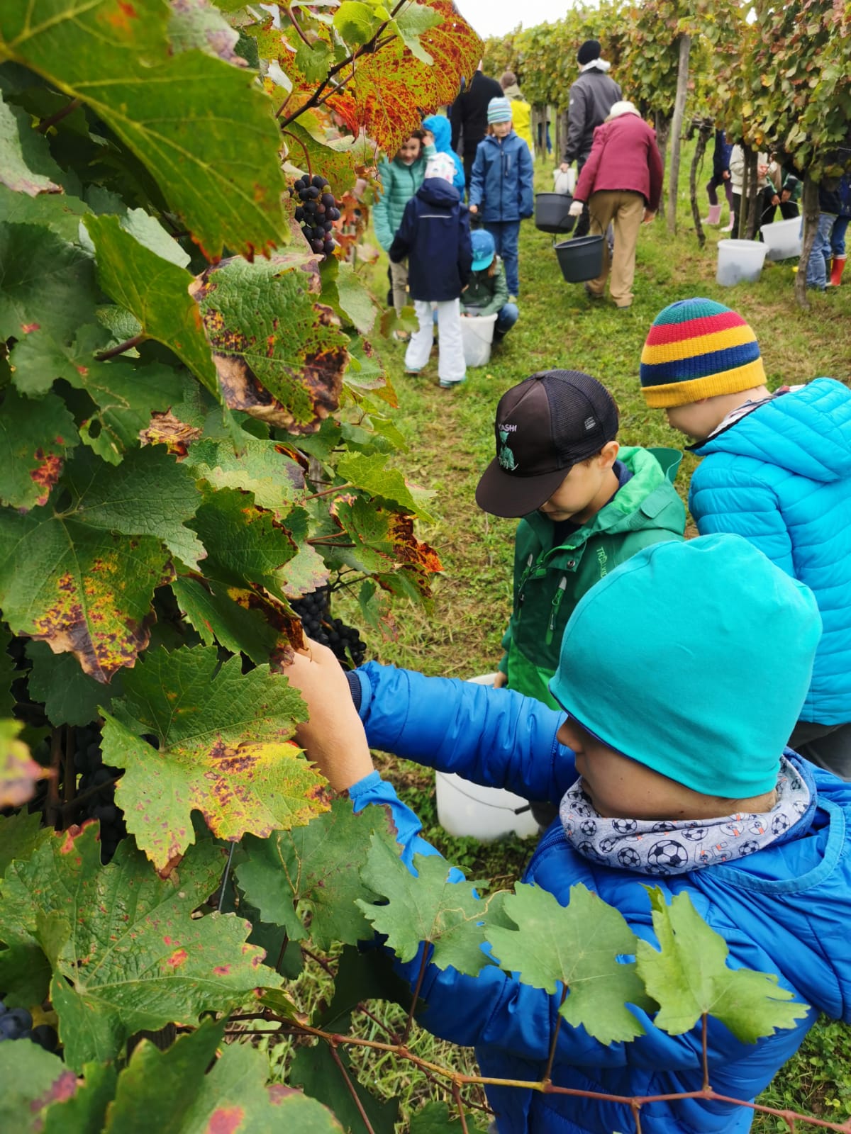 PHOTO-2025-10-01-11-58-22