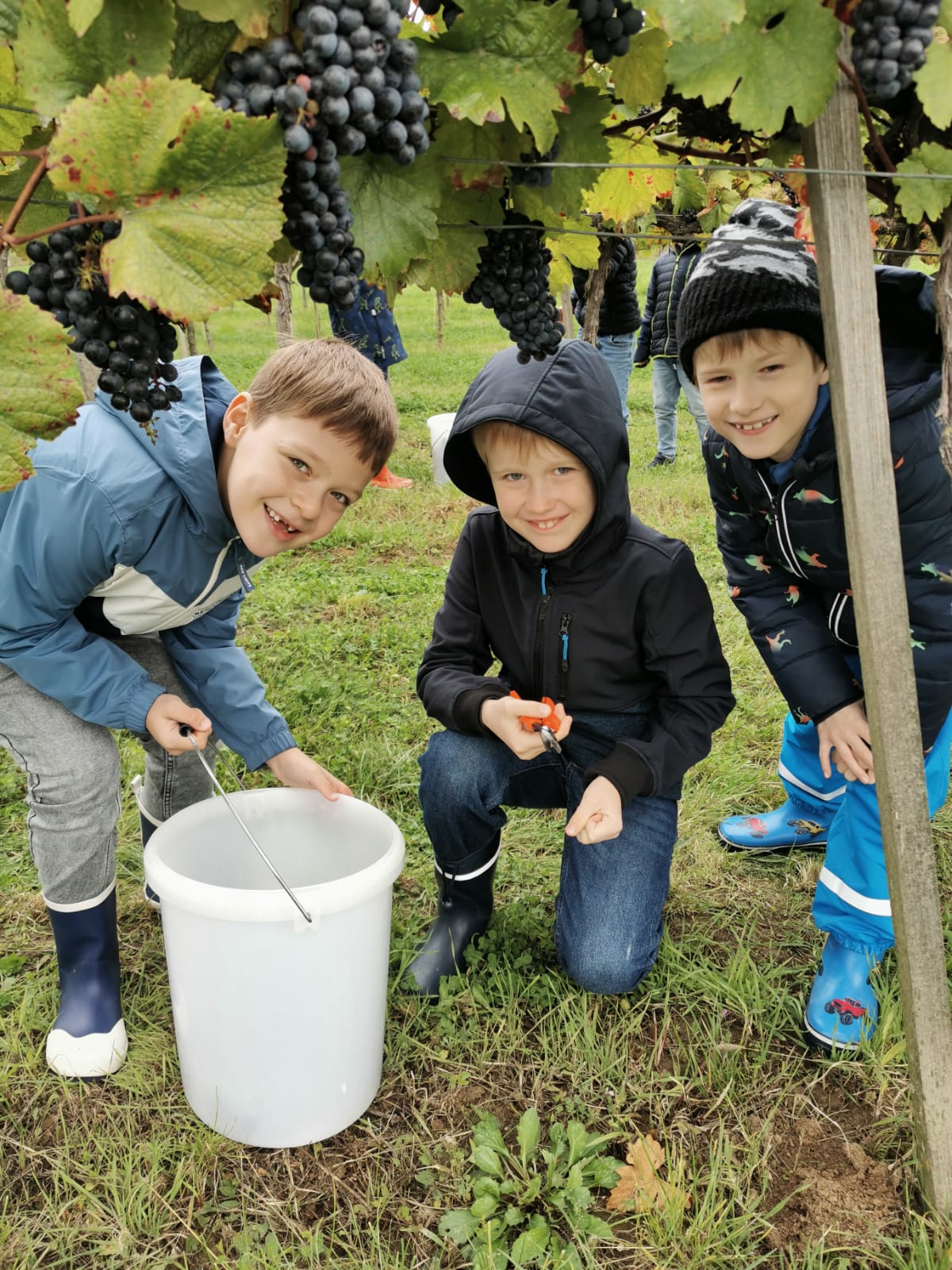 PHOTO-2025-10-01-11-58-23