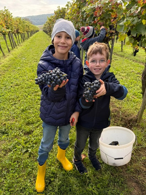 PHOTO-2025-10-01-17-45-44